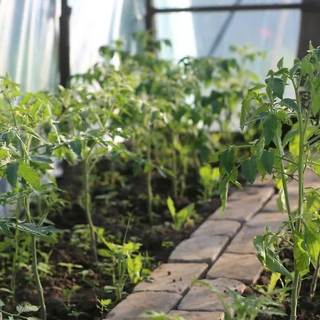 مزرعة للإقامة Uroczysko Skomackie